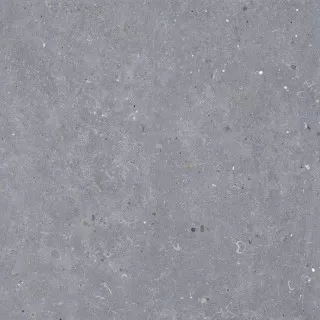 Керамогранит Codicer 95 Messel Grey 66x66