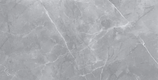 Керамогранит Staro Silk Gilio Matt 60×120