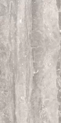 Moonlight Grey Lux 60x120